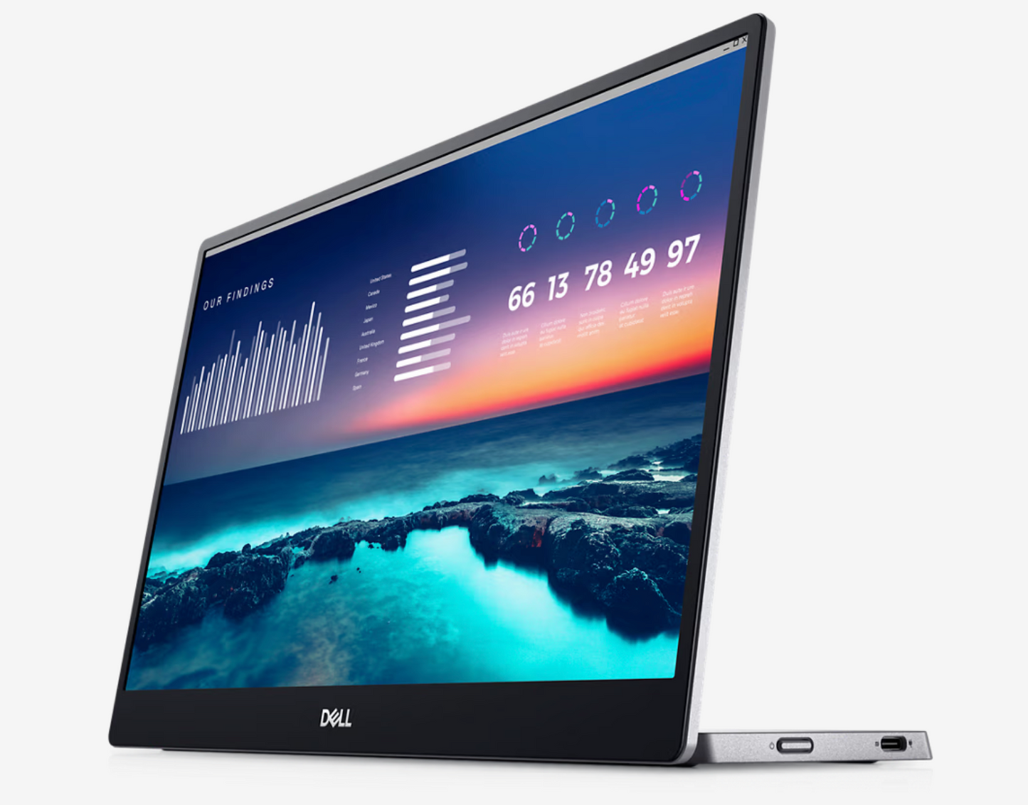 Dell P1424H - Monitor LED - 14"