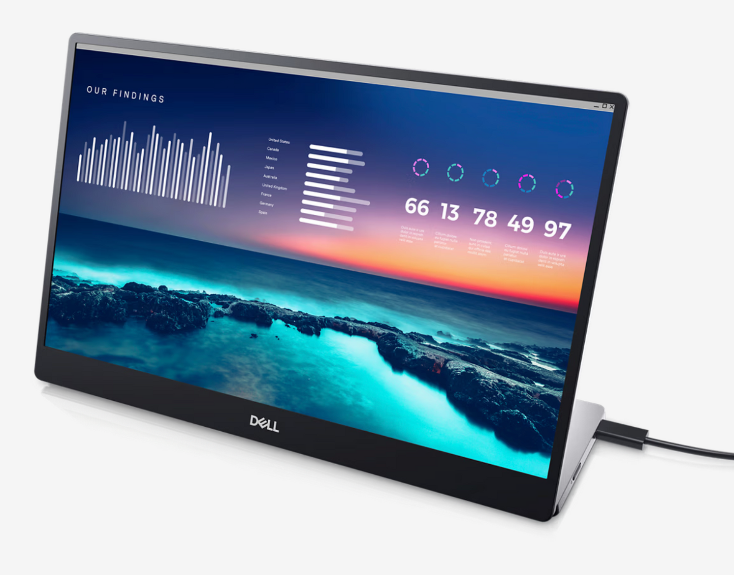 Dell P1424H - Monitor LED - 14"
