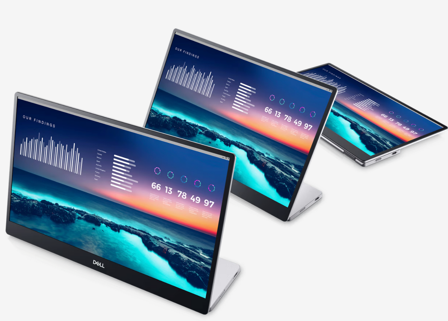 Dell P1424H - Monitor LED - 14"