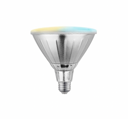 Smart Light Bulb CCT 110V